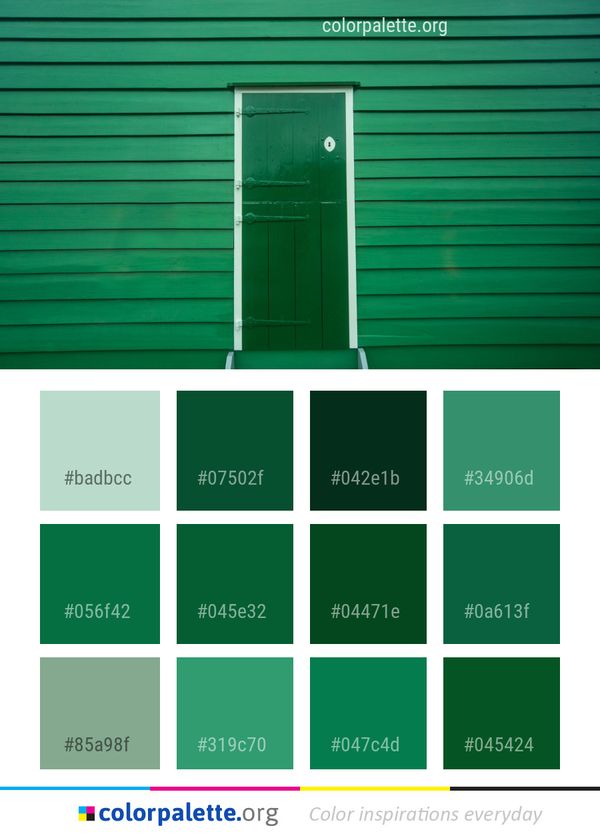 Green Line Door Color Palette