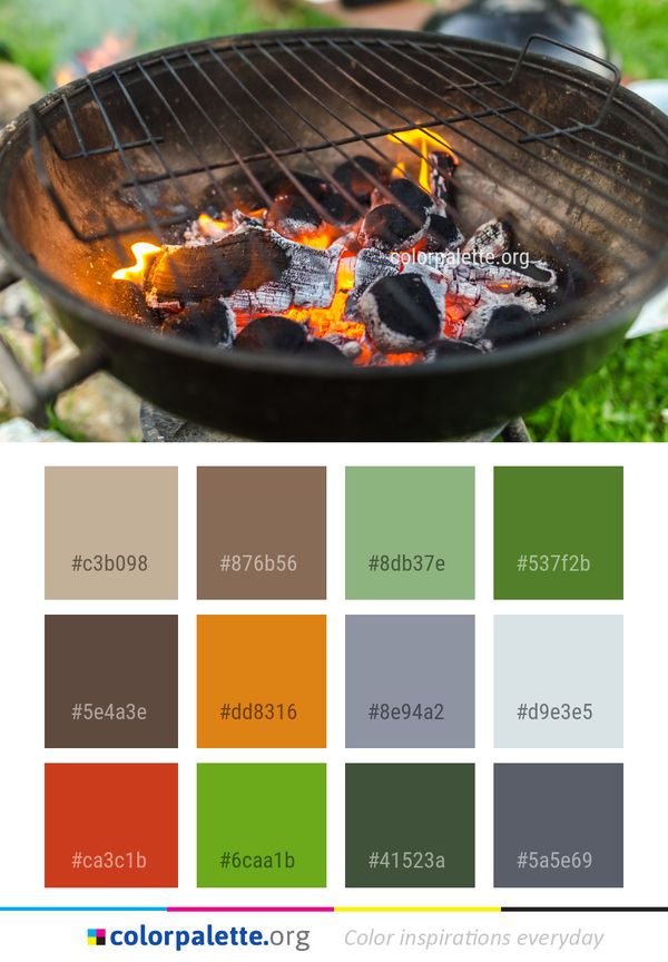 Grilling Barbecue Outdoor Grill Color Palette