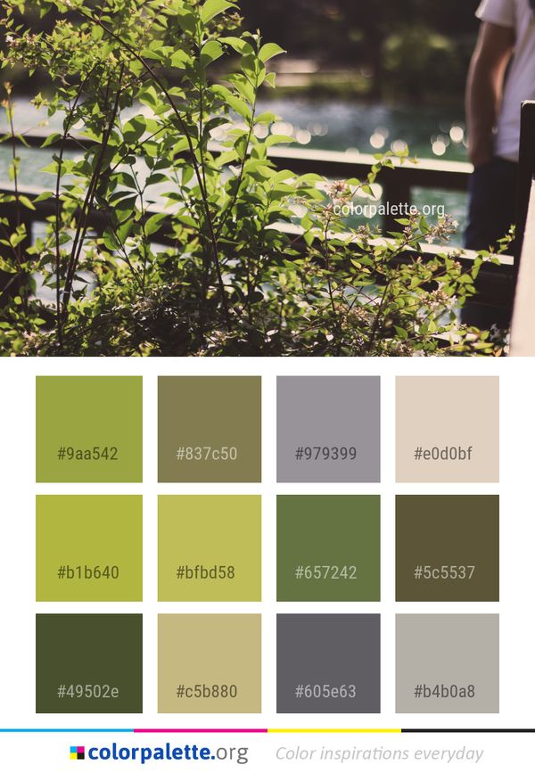 Plant Leaf Tree Color Palette