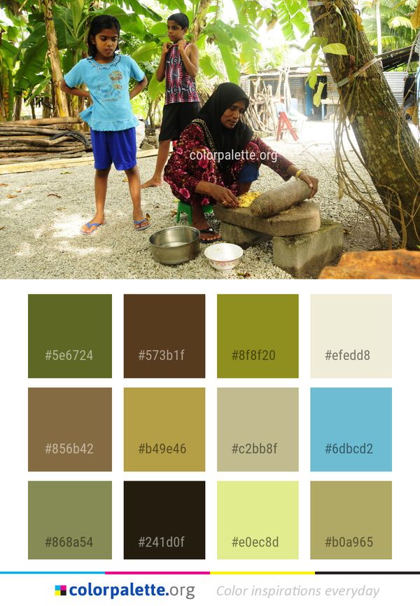 Plant Tree Child Color Palette