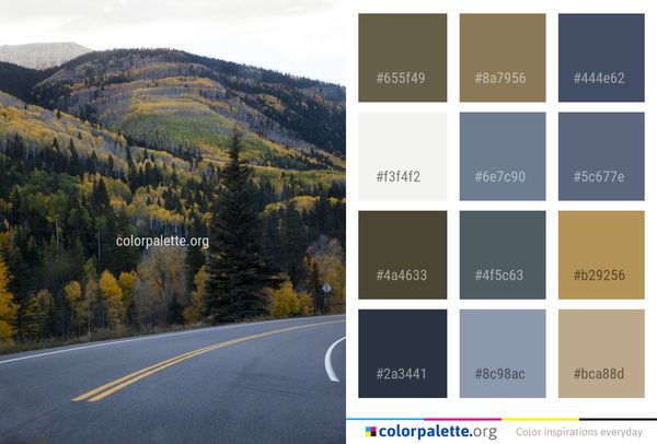 Road Nature Leaf Color Palette