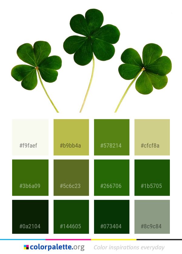 Shamrock Leaf Plant Color Palette