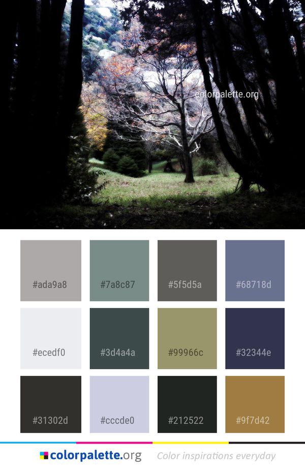 Tree Nature Woody Plant Color Palette