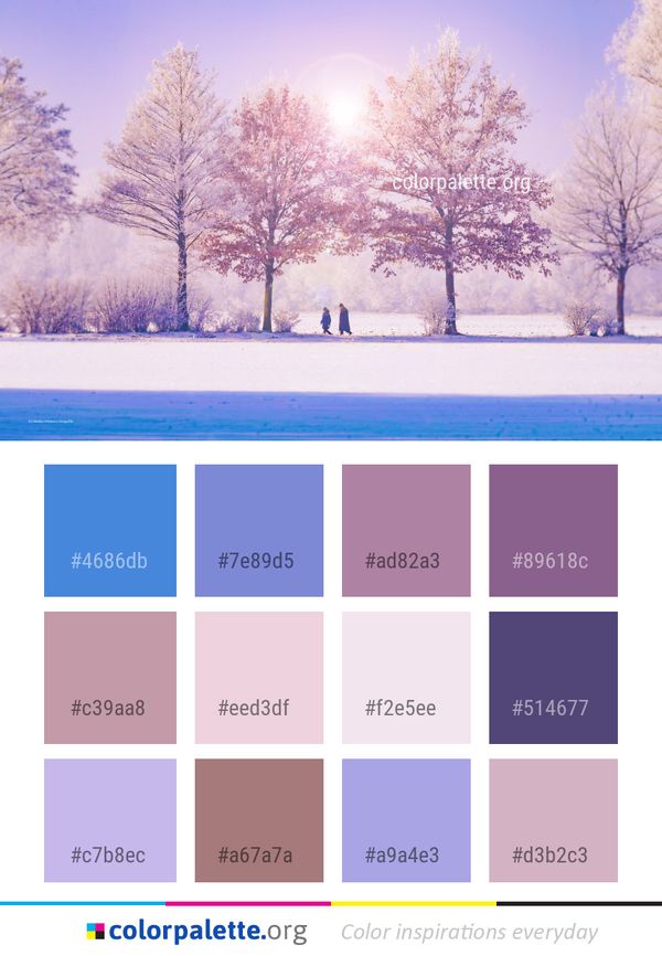 Winter Sky Snow Color Palette