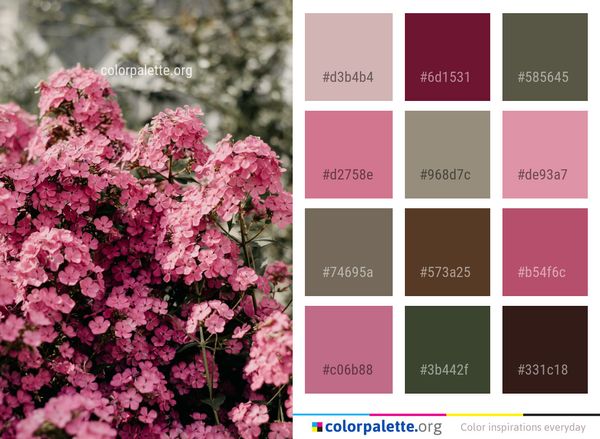 Flower Plant Pink Color Palette