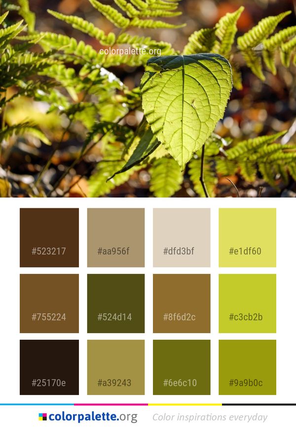 Leaf Vegetation Plant Color Palette