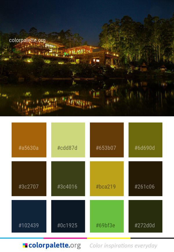 Reflection Nature Night Color Palette