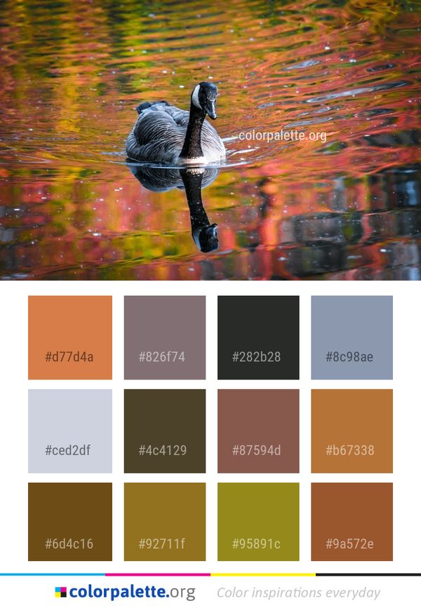 Reflection Water Bird Color Palette