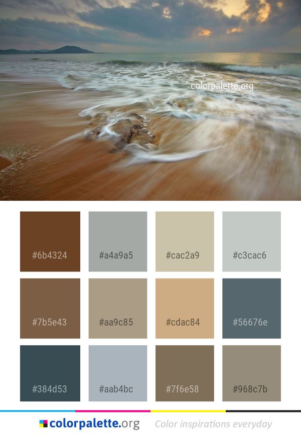 Sea Body Of Water Shore Color Palette