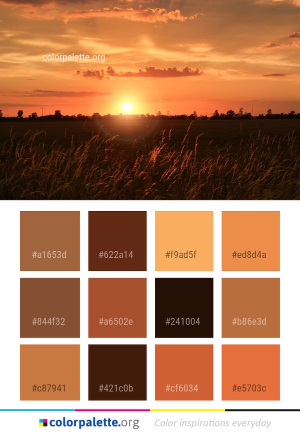 Sky Field Afterglow Color Palette