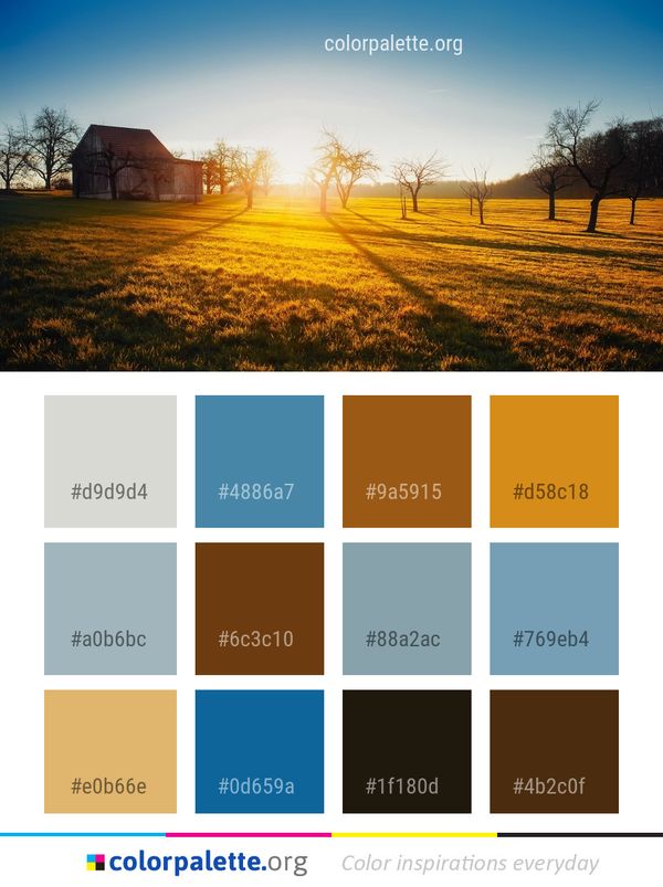 Sky Field Morning Color Palette