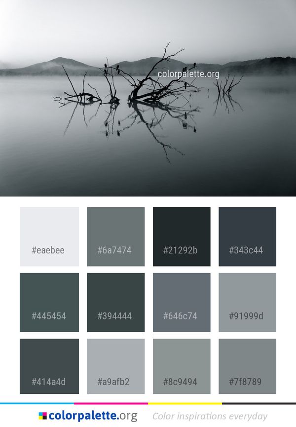 Water Reflection Black And White Color Palette