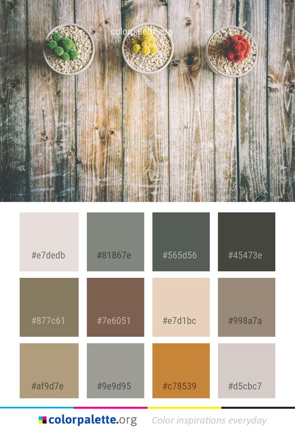 Yellow Wall Wood Color Palette