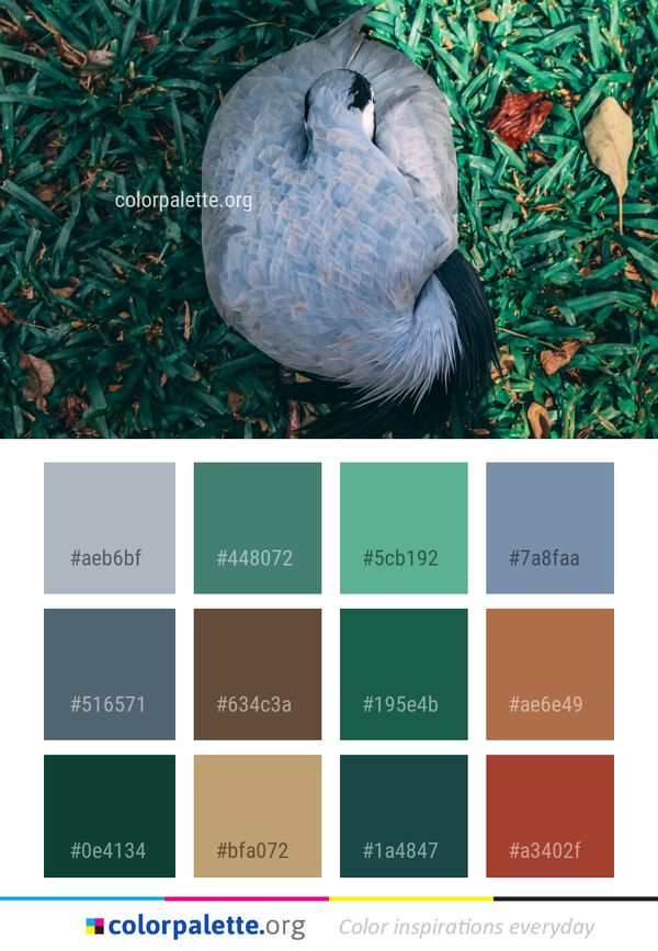 Fauna Leaf Grass Color Palette