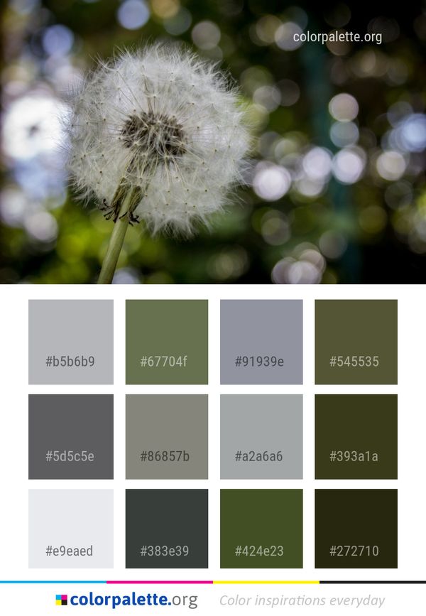 Flower Flora Dandelion Color Palette