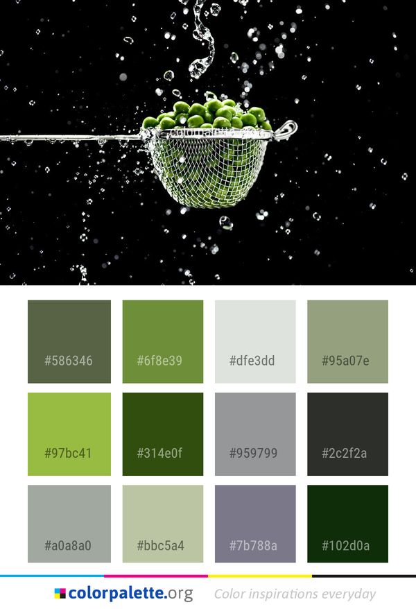 Green Water Organism Color Palette
