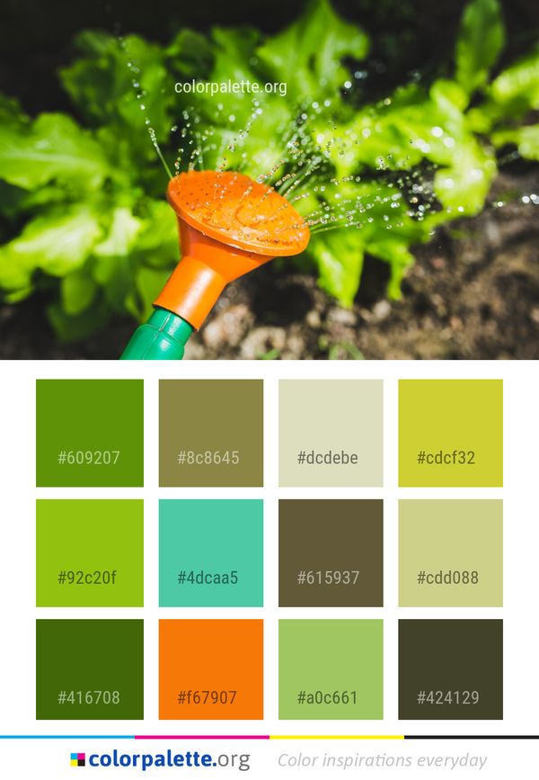 Leaf Vegetable Plant Stem Color Palette