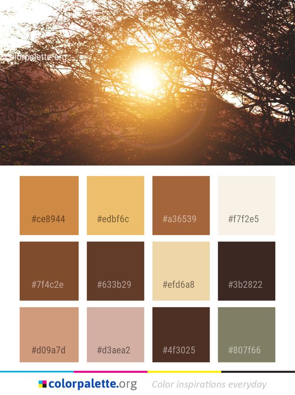 Nature Sky Sun Color Palette