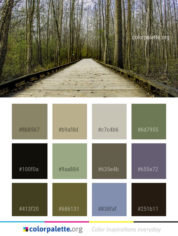 Path Nature Reserve Ecosystem Color Palette