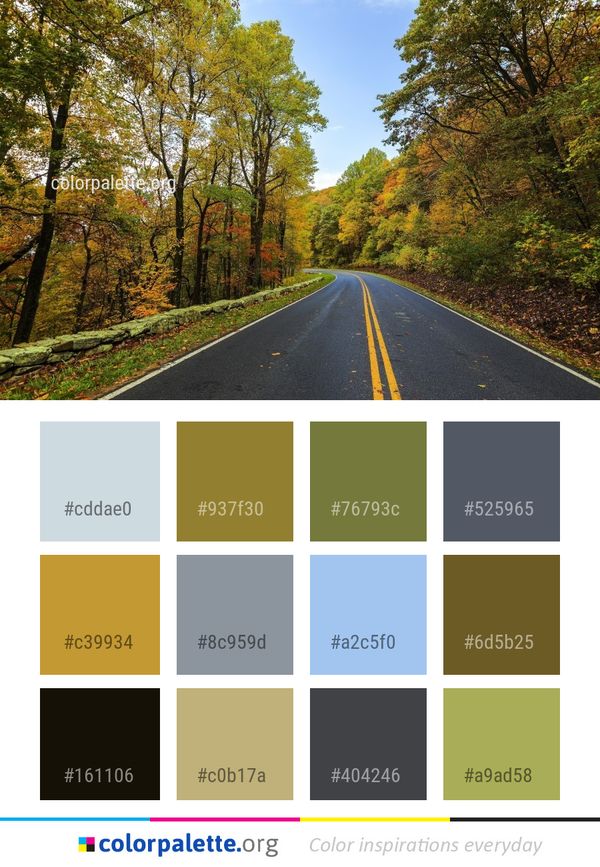 Road Nature Leaf Color Palette