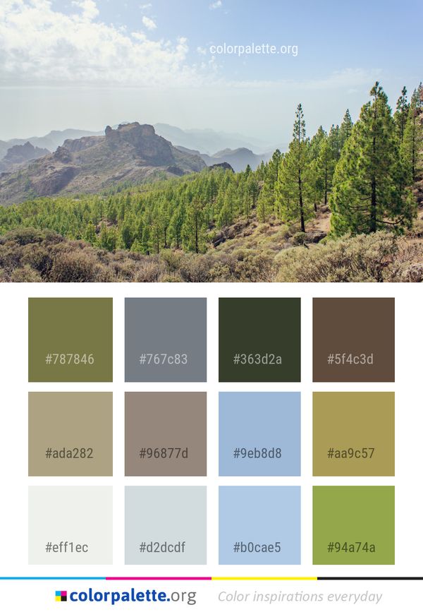 Wilderness Vegetation Mountain Color Palette