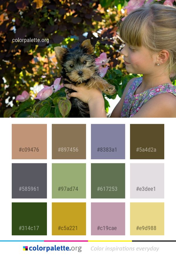 Dog Like Mammal Color Palette