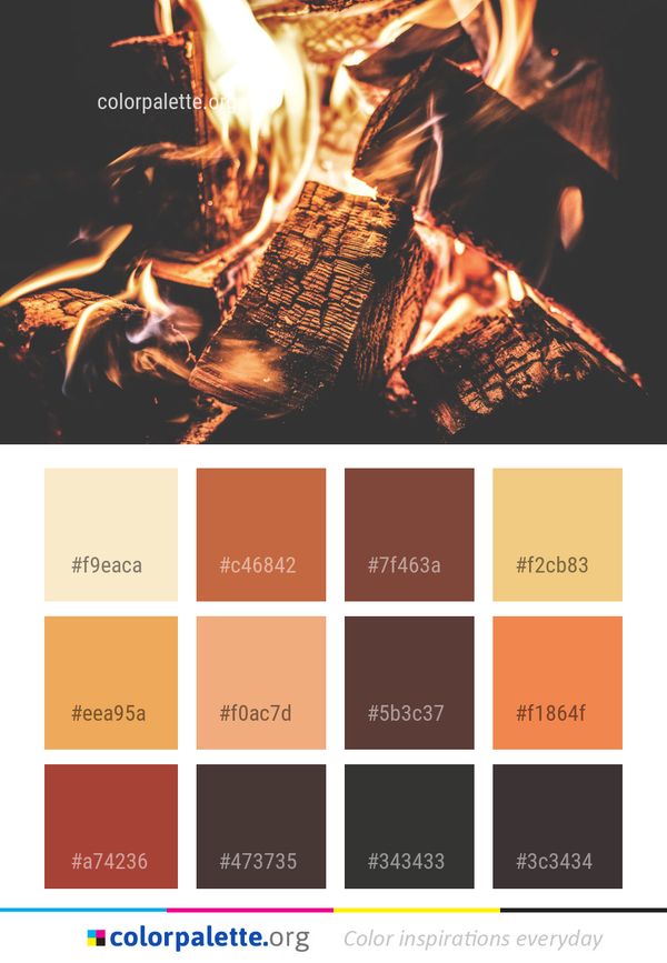 Flame Darkness String Instrument Color Palette