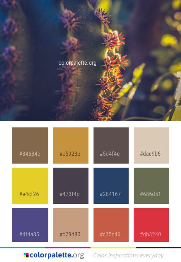 Flora Plant Close Up Color Palette