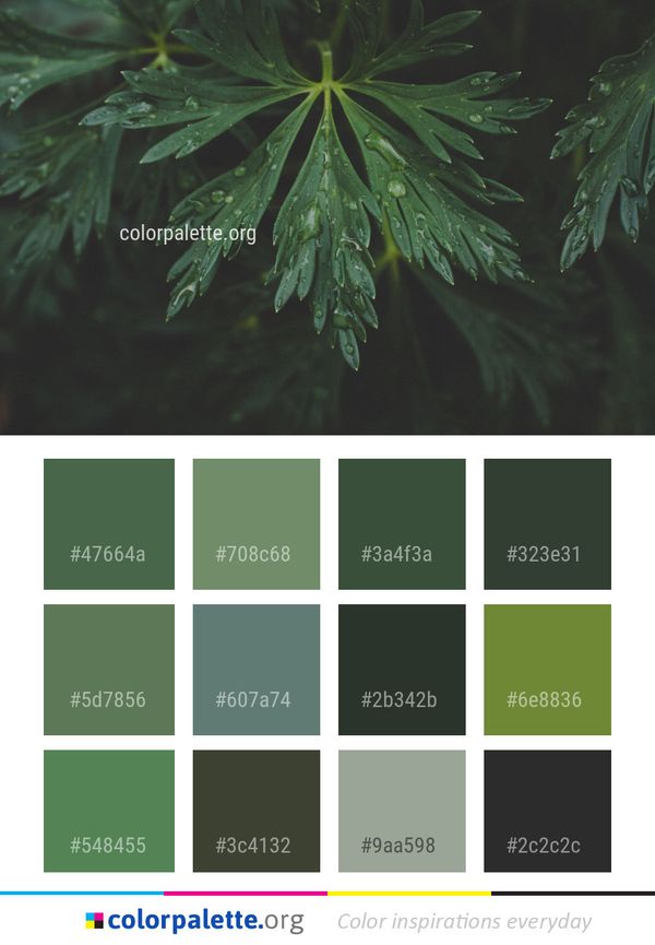 Green Leaf Vegetation Color Palette