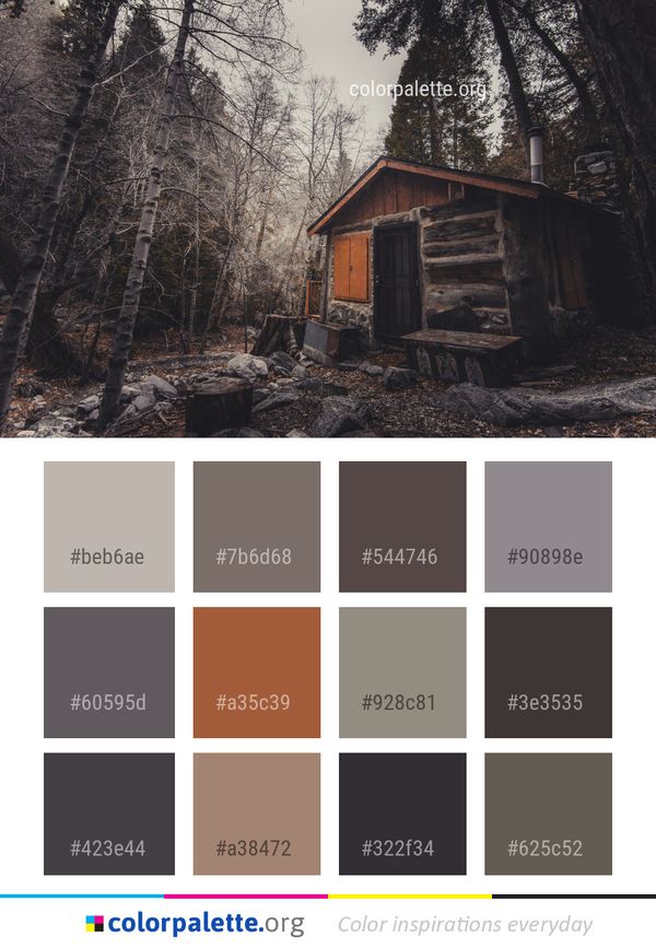Log Cabin Tree Shack Color Palette