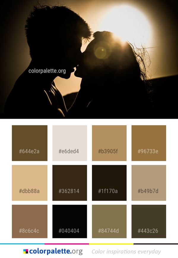 Photograph Man Darkness Color Palette