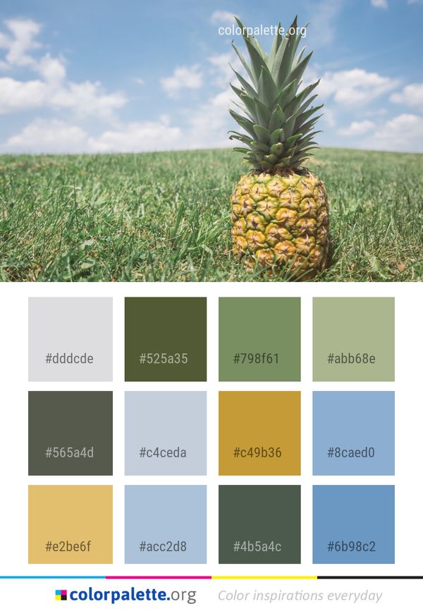 Pineapple Ananas Plant Color Palette