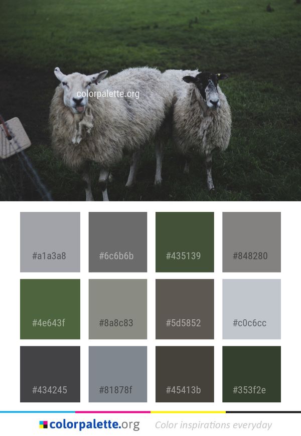 Sheep Cow Goat Family Color Palette