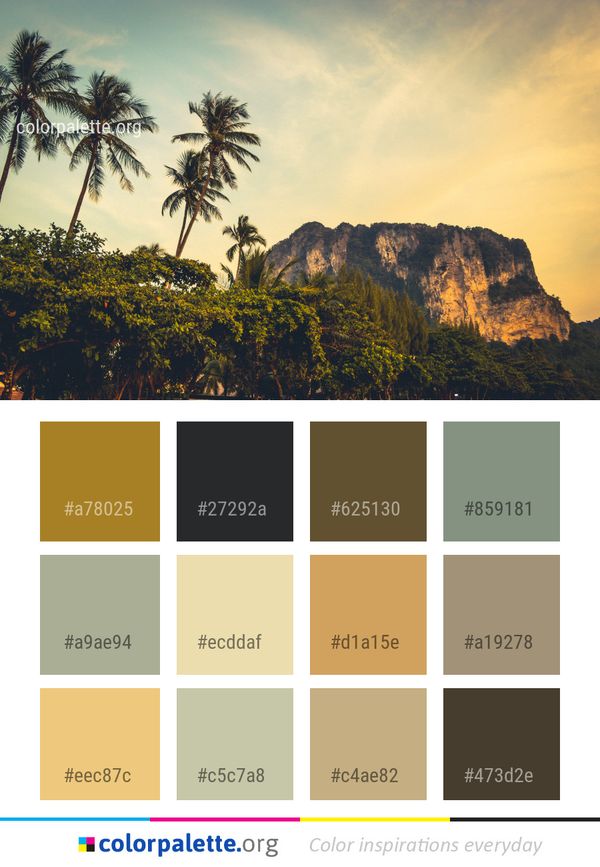 Sky Nature Tree Color Palette