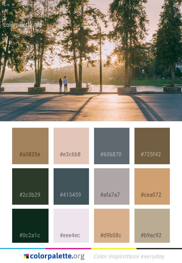 Tree Nature Woody Plant Color Palette