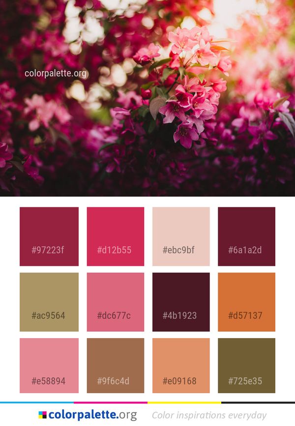 Flower Pink Flora Color Palette