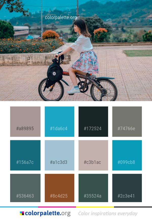 Land Vehicle Bicycle Color Palette