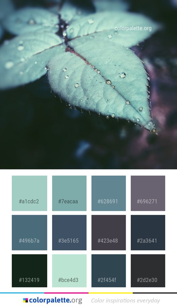 Leaf Water Moisture Color Palette