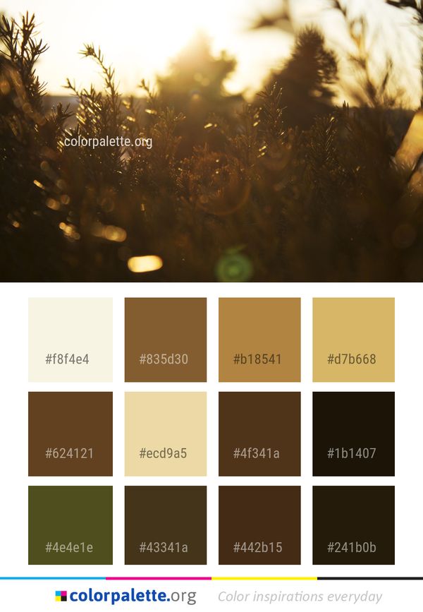Nature Yellow Sun Color Palette