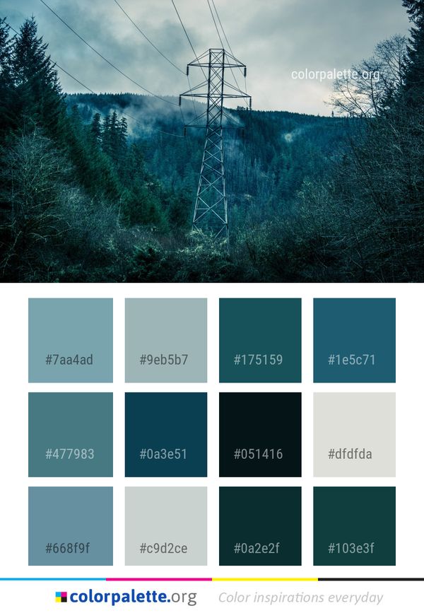 Sky Nature Overhead Power Line Color Palette