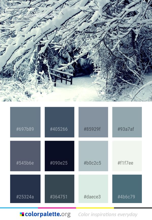 Snow Winter Freezing Color Palette