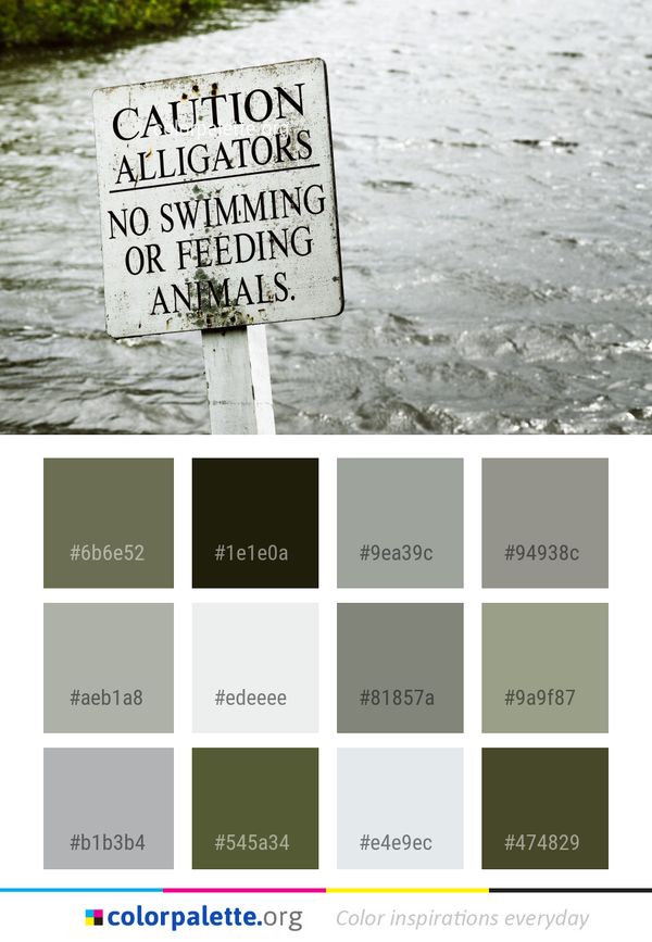 Water Sign Tree Color Palette