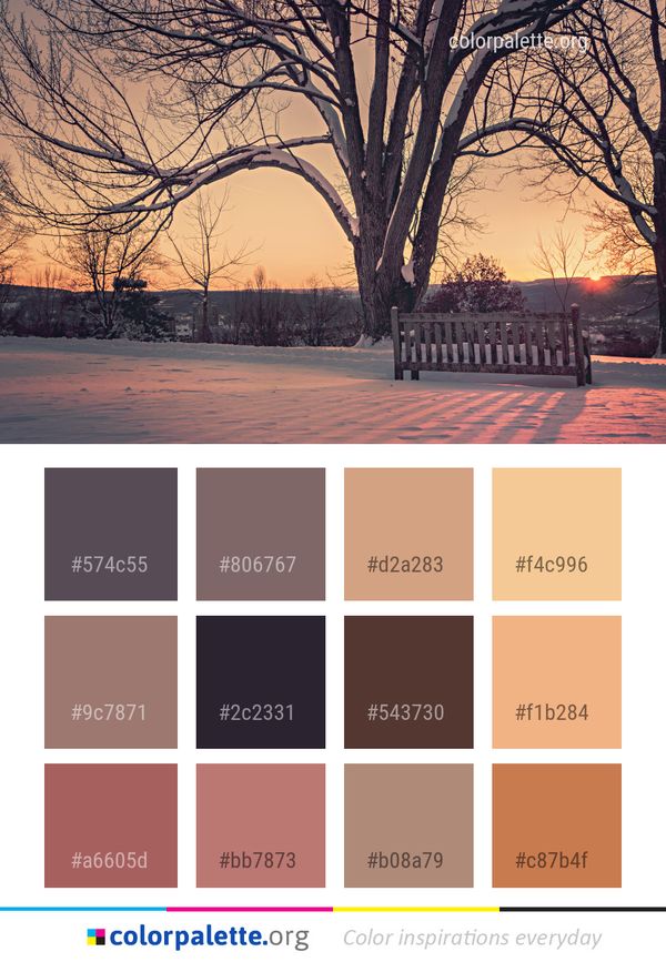 Winter Snow Tree Color Palette