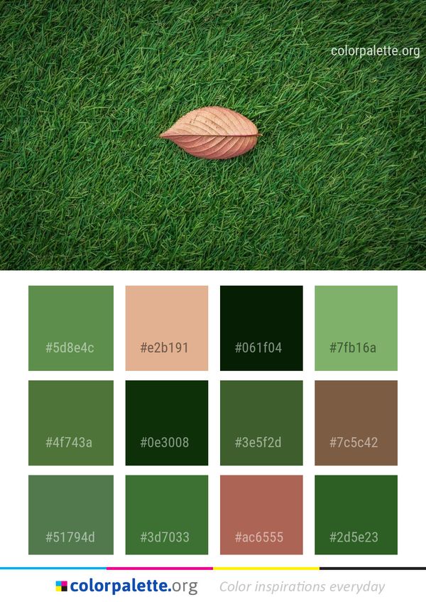 Green Grass Leaf Color Palette