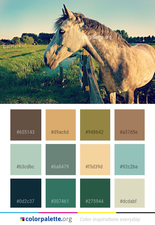 Horse Grassland Green Color Palette