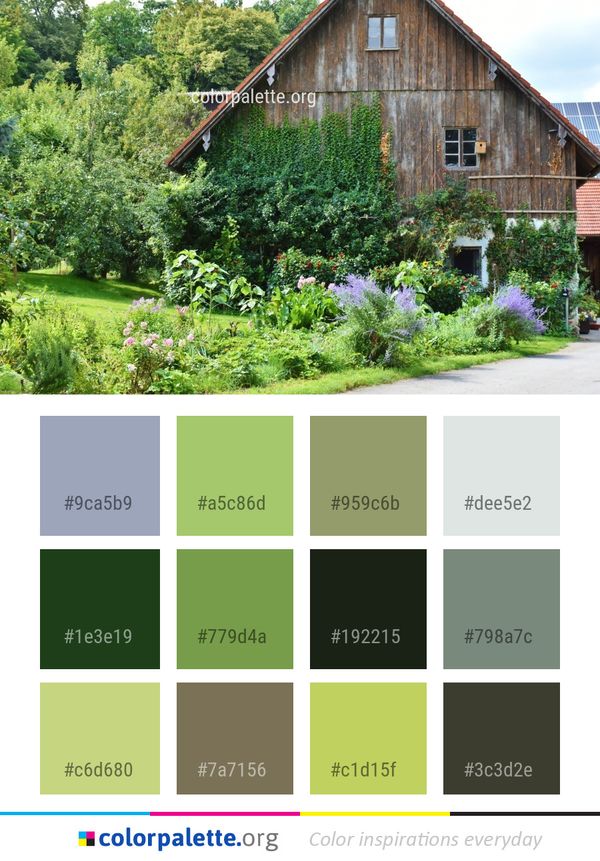 House Home Vegetation Color Palette