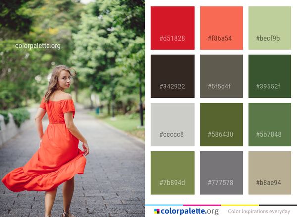 Red Photograph Dress Color Palette