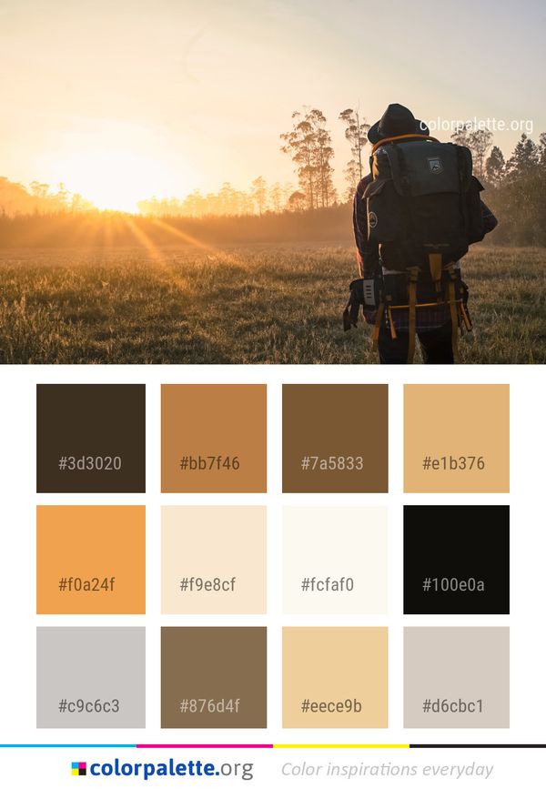 Sky Field Grass Color Palette