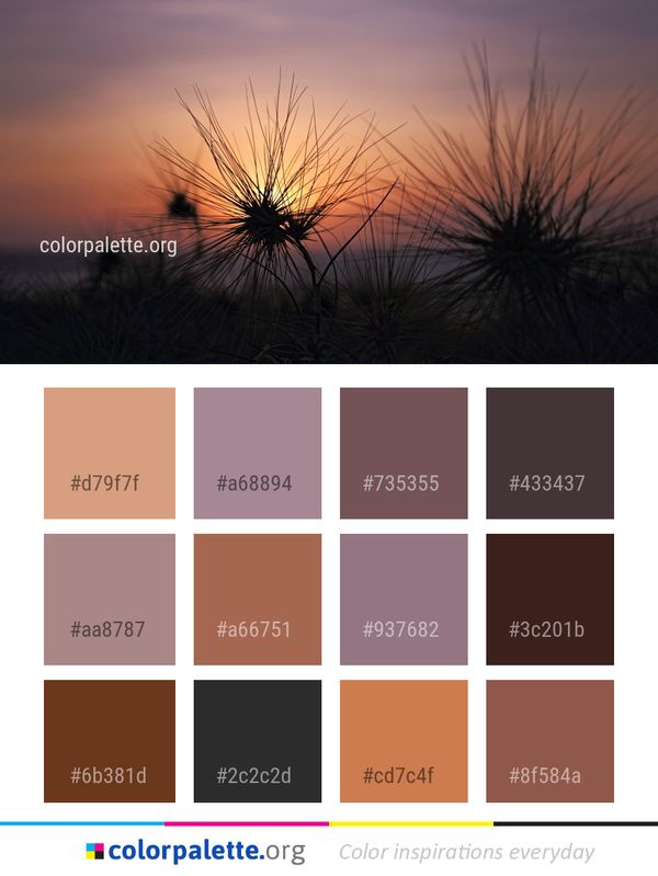Sky Morning Atmosphere Color Palette