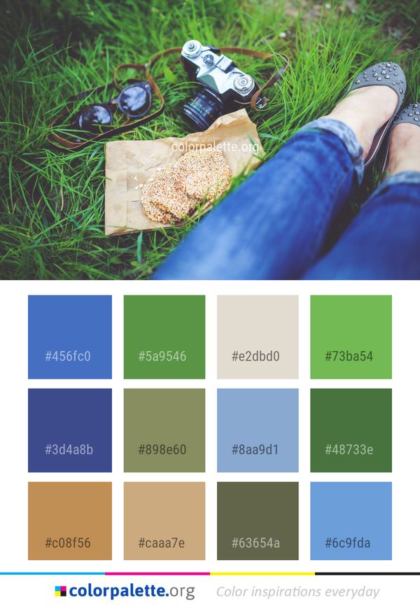 Blue Green Grass Color Palette